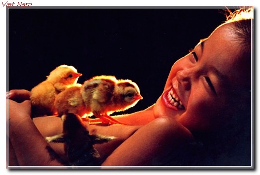 [cat6_-_Copy[3].jpg]